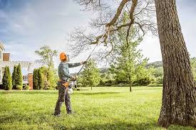 How Our Tree Care Process Works  in  Fayette, IA